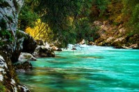 /album/fotogalerie/l-ljzhdh-jpg/